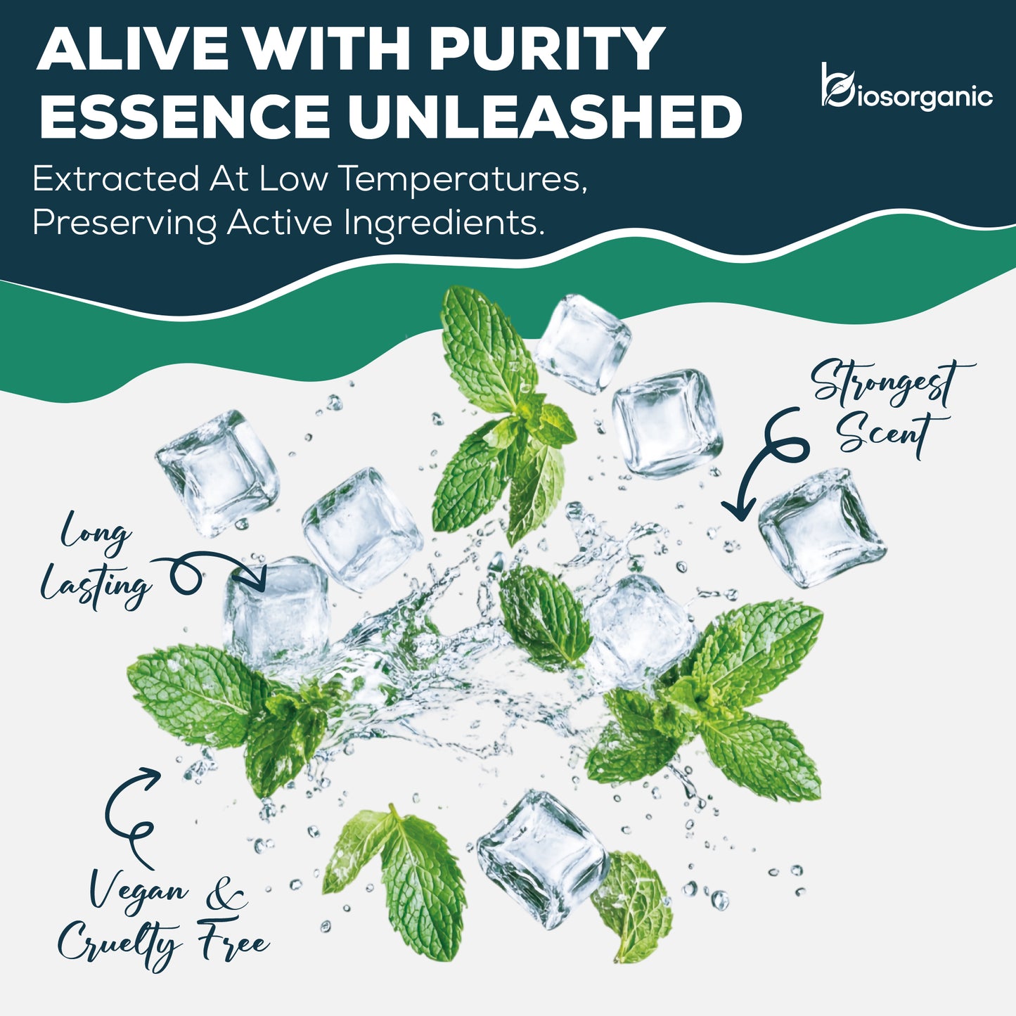 Vital Breath Shower Steamers Eucalyptus and Peppermint